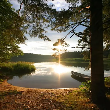 Smyk * Biskupiec (Nowe Miasto)